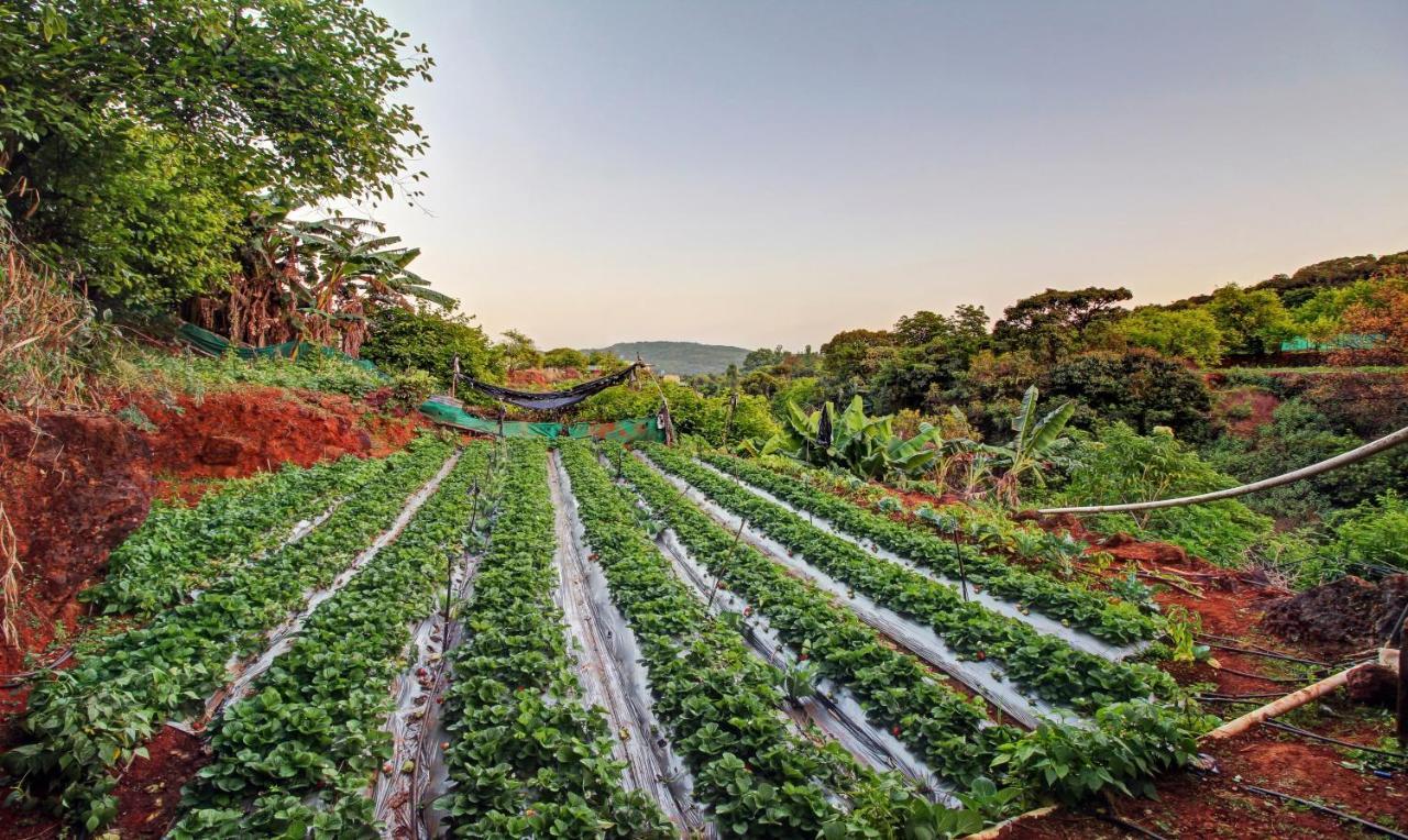 Treebo La Paradise Mahabaleshwar Ngoại thất bức ảnh