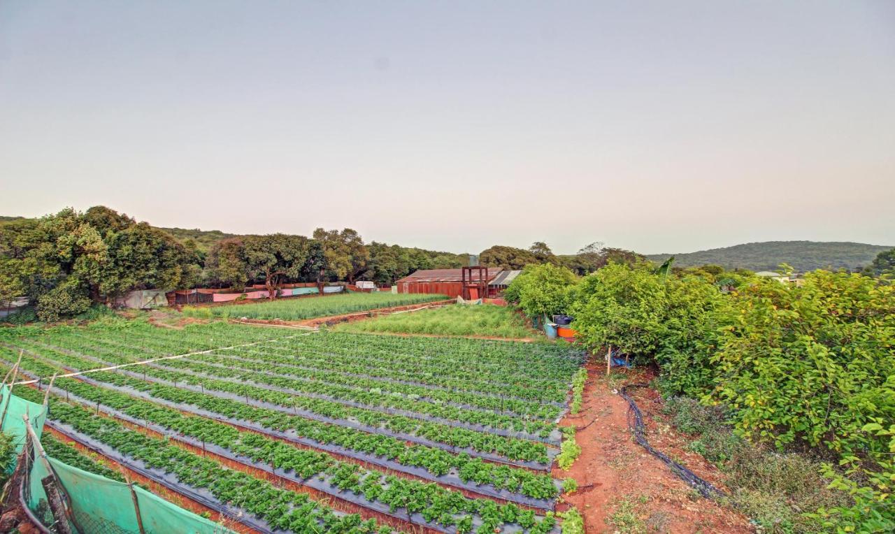 Treebo La Paradise Mahabaleshwar Ngoại thất bức ảnh